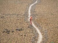 A woman is crossing a dried-up lake at Boklung near Kathiatoli in Nagaon District, Assam, India, on April 13, 2024. (