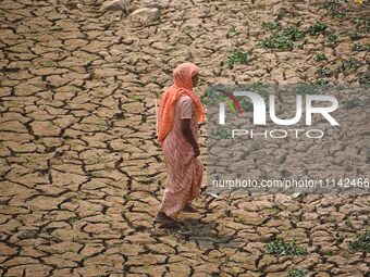 A woman is crossing a dried-up lake at Boklung near Kathiatoli in Nagaon District, Assam, India, on April 13, 2024. (