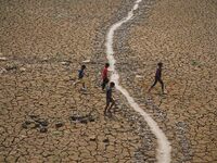 Children are crossing a dried-up lake at Boklung near Kathiatoli in Nagaon District, Assam, India, on April 13, 2024. (