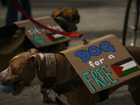 EDMONTON, CANADA - APRIL 14:
Two dog with placards 'Dog for a Free Palestine' seen as members of the Palestinian diaspora supported by local...