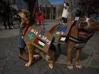 EDMONTON, CANADA - APRIL 14:
Two dog with placards 'Dog for a Free Palestine' seen as members of the Palestinian diaspora supported by local...