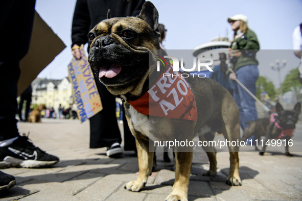 Families of prisoners of war from the Mariupol garrison are organizing the ''Don't be silent. Captivity Kills'' event in support of the capt...