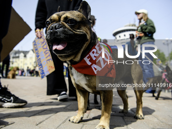 Families of prisoners of war from the Mariupol garrison are organizing the ''Don't be silent. Captivity Kills'' event in support of the capt...