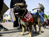 Families of prisoners of war from the Mariupol garrison are organizing the ''Don't be silent. Captivity Kills'' event in support of the capt...