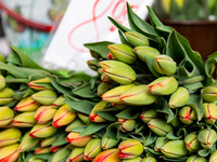 Tulips are seen on market stands on Old Kleparz Market in Old Town of Krakow as spring gardening season started in Poland on April 17, 2024....