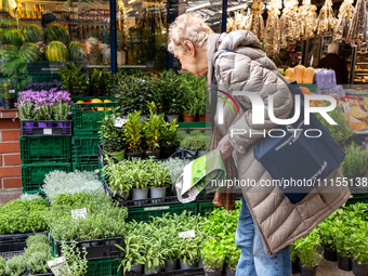 A woman shops for plantules of herbs on Old Kleparz Market in Old Town of Krakow as spring gardening season started in Poland on April 17, 2...