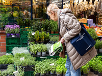 A woman shops for plantules of herbs on Old Kleparz Market in Old Town of Krakow as spring gardening season started in Poland on April 17, 2...