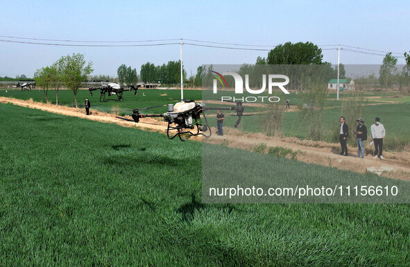 A farmer is spraying pesticide on wheat in Binzhou, China, on April 18, 2024. 