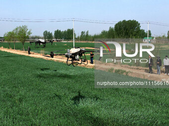 A farmer is spraying pesticide on wheat in Binzhou, China, on April 18, 2024. (