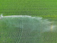 Farmland is being irrigated in Zouping, China, on April 18, 2024. (