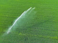 Farmland is being irrigated in Zouping, China, on April 18, 2024. (