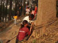 Nepali officials are fixing chains to extract the remains of a firefighting engine that crashed while it was being deployed to douse a fores...