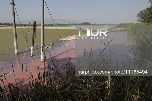 A view of the pink water in Lake Chalco-Xico, State of Mexico, is seen here. This Sunday is World Earth Day, which the United Nations declar...