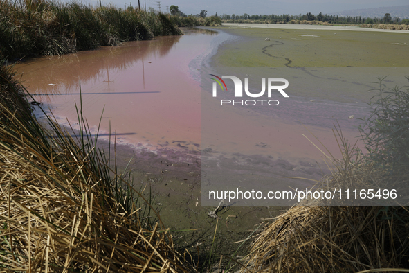 A view of the pink water and a dry section of Lake Chalco-Xico in the State of Mexico is seen here. This Sunday is World Earth Day, which th...