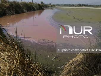 A view of the pink water and a dry section of Lake Chalco-Xico in the State of Mexico is seen here. This Sunday is World Earth Day, which th...