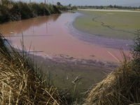 A view of the pink water and a dry section of Lake Chalco-Xico in the State of Mexico is seen here. This Sunday is World Earth Day, which th...