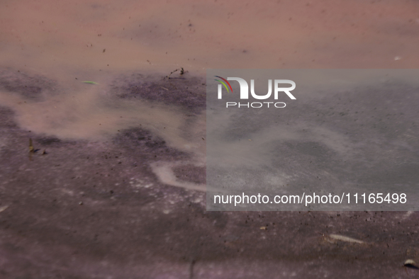 A view of the pink water and a dry section of Lake Chalco-Xico in the State of Mexico is seen here. This Sunday is World Earth Day, which th...