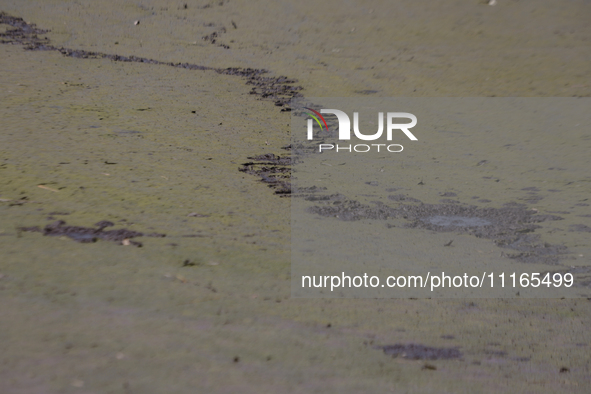 A dry section of Lake Chalco-Xico is seen in the State of Mexico. Today, on World Earth Day, people are commemorating the occasion which dat...