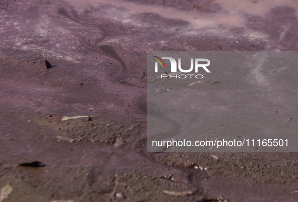 A view of the pink water and a dry section of Lake Chalco-Xico in the State of Mexico is seen here. This Sunday is World Earth Day, which th...