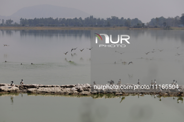 Birds are seen at Lake Chalco-Xico in the State of Mexico. This Sunday is World Earth Day, which the United Nations declared on April 22 bac...