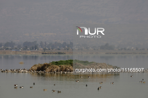 Birds are seen at Lake Chalco-Xico in the State of Mexico. This Sunday is World Earth Day, which the United Nations declared on April 22 bac...