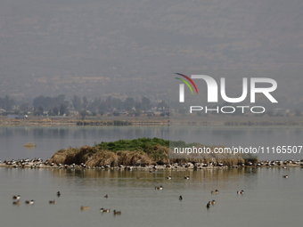 Birds are seen at Lake Chalco-Xico in the State of Mexico. This Sunday is World Earth Day, which the United Nations declared on April 22 bac...