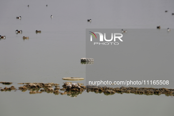 A tire is seen in Lake Chalco-Xico, State of Mexico. This Sunday marks World Earth Day, which the United Nations declared as World Mother Ea...