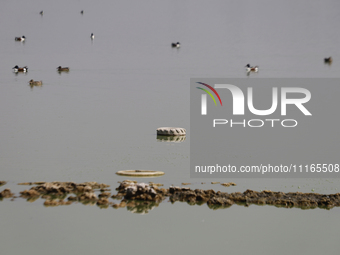 A tire is seen in Lake Chalco-Xico, State of Mexico. This Sunday marks World Earth Day, which the United Nations declared as World Mother Ea...