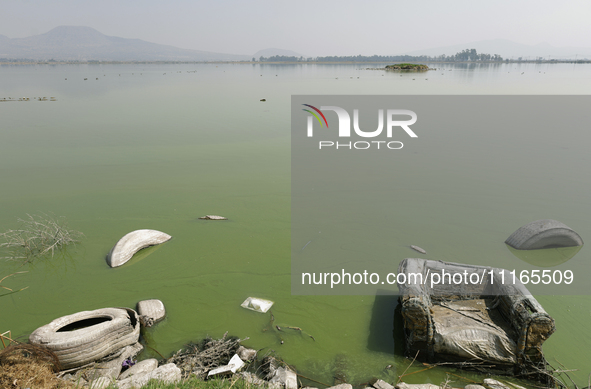 An armchair is sitting in Lake Chalco-Xico, State of Mexico. This Sunday is World Earth Day, which the United Nations declared as World Moth...