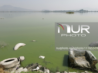 An armchair is sitting in Lake Chalco-Xico, State of Mexico. This Sunday is World Earth Day, which the United Nations declared as World Moth...