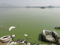 An armchair is sitting in Lake Chalco-Xico, State of Mexico. This Sunday is World Earth Day, which the United Nations declared as World Moth...