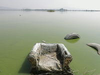 An armchair is sitting in Lake Chalco-Xico, State of Mexico. This Sunday is World Earth Day, which the United Nations declared as World Moth...