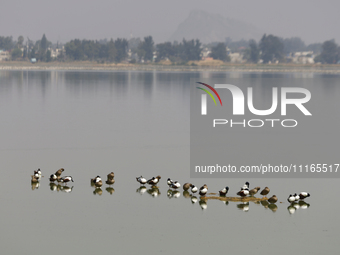 Birds are seen at Lake Chalco-Xico in the State of Mexico. This Sunday is World Earth Day, which the United Nations declared on April 22 bac...