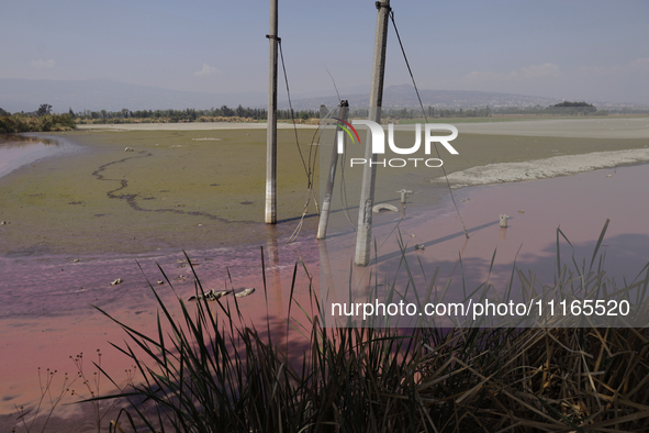 A view of the pink water and a dry section of Lake Chalco-Xico in the State of Mexico is seen here. This Sunday is World Earth Day, which th...