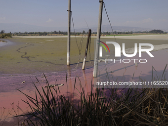 A view of the pink water and a dry section of Lake Chalco-Xico in the State of Mexico is seen here. This Sunday is World Earth Day, which th...