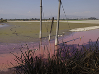 A view of the pink water and a dry section of Lake Chalco-Xico in the State of Mexico is seen here. This Sunday is World Earth Day, which th...