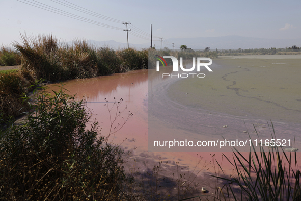 A view of the pink water and a dry section of Lake Chalco-Xico in the State of Mexico is seen here. This Sunday is World Earth Day, which th...