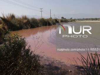 A view of the pink water and a dry section of Lake Chalco-Xico in the State of Mexico is seen here. This Sunday is World Earth Day, which th...