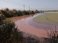 A view of the pink water and a dry section of Lake Chalco-Xico in the State of Mexico is seen here. This Sunday is World Earth Day, which th...