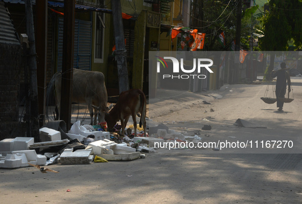 A daily wage worker is walking past household garbage and waste thrown at the roadside area in Siliguri, India, on April 22, 2024. World Ear...