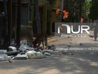 A daily wage worker is walking past household garbage and waste thrown at the roadside area in Siliguri, India, on April 22, 2024. World Ear...