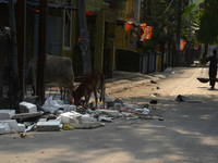 A daily wage worker is walking past household garbage and waste thrown at the roadside area in Siliguri, India, on April 22, 2024. World Ear...