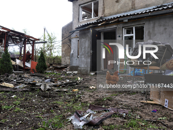 A hen is seen among the debris outside a building that has been damaged by a Russian missile attack in the Odesa region, southern Ukraine, o...