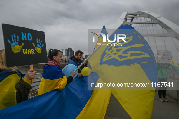 EDMONTON, CANADA - APRIL 21, 2024:
Members of the Ukrainian diaspora proudly wave national flags, hold blue and yellow balloons, and display...