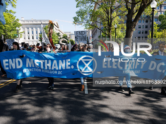 Climate activists with the Extinction Rebellion DC organization wear animal masks while marching to the John A. Wilson building in Washingto...