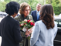 Queen Sofia of Spain attends the 36th Global Conference of Alzheimer's Disease Internationa Krakow, Poland on April 24, 2024. The ADI confer...