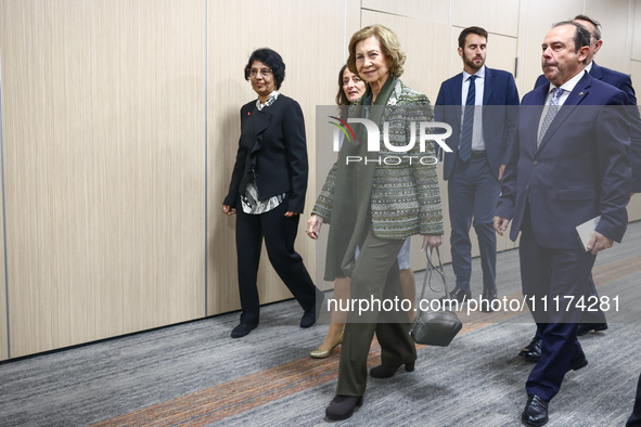 Queen Sofia of Spain attends the 36th Global Conference of Alzheimer's Disease Internationa Krakow, Poland on April 24, 2024. The ADI confer...