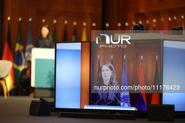 Annalena Baerbock, the Federal Minister for Foreign Affairs of Germany, and Mukhtar Babayev, the COP29 President-Designate & Minister of Eco...