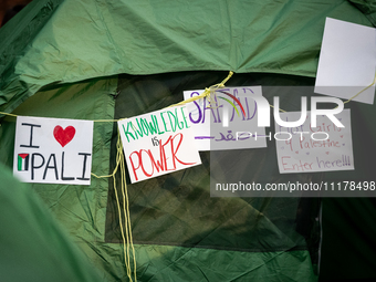 Signs hang on a tent at an encampment for Palestine set up by George Washington University students  in conjunction with other DC-area unive...