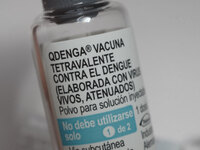 A vial of the German-made Qdenga vaccine is being displayed. Discussions are intensifying over dengue vaccination due to the lack of an offi...